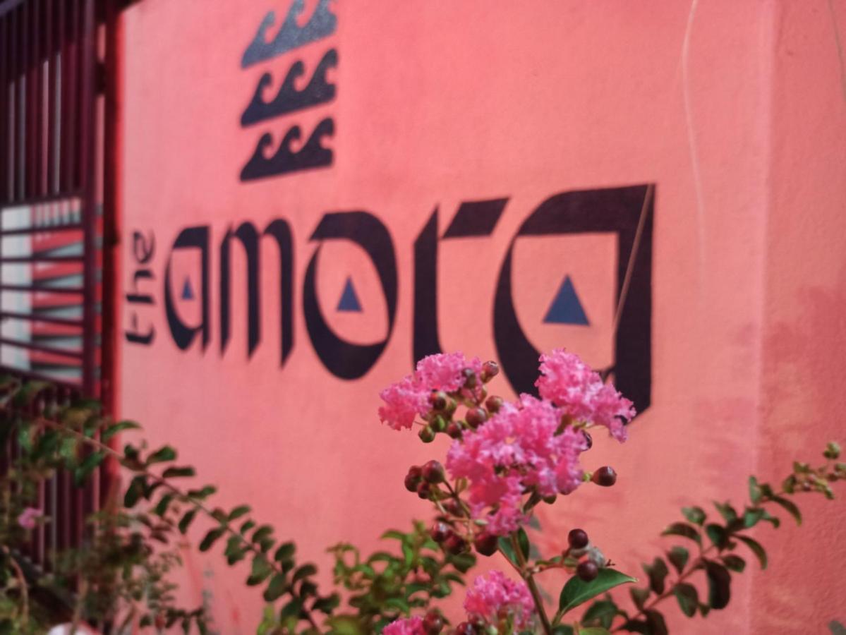 The Amora آروغام المظهر الخارجي الصورة